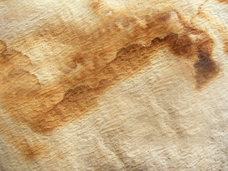 Old paper with numerous holes on the surface.Texture or background