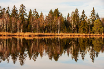 Herbstliche Spiegelung im Riedsee von Bad Wurzach