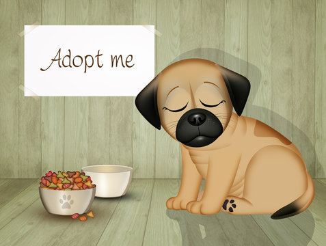 illustration of adopt a puppy