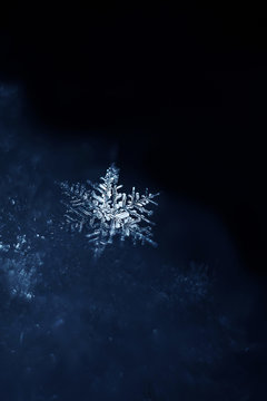 Snowflakes close-up. Macro photo. The concept of winter, cold, beauty of nature. Copy space....