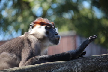 Obraz premium Just had my nails done