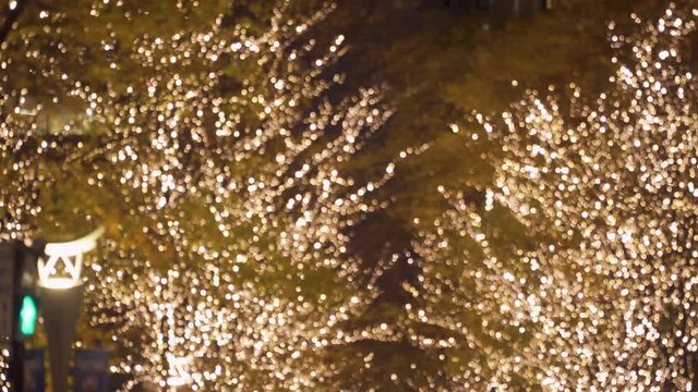 イルミネーションが輝く丸の内仲通り アウトフォーカス