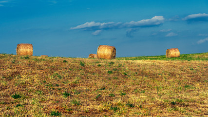 Summer landscape along the road to Camigliatello, Sila
