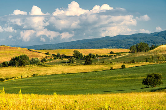Summer landscape along the road to Camigliatello, Sila