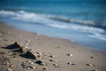 View of the beach