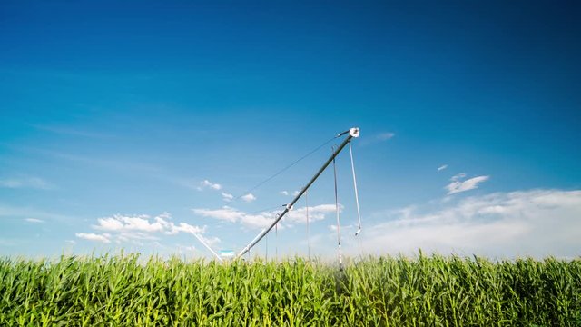 A static daytime timelapse of green corn fields (maize) while centre pivot irrigation system waters the field with cumulous clouds against blue sky.