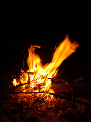 Bonfire on the beach