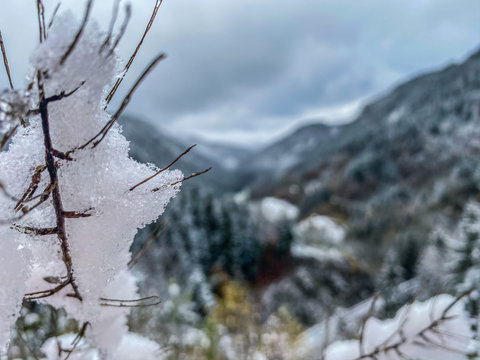 Winterlandschaft in Freiburg im Breisgau