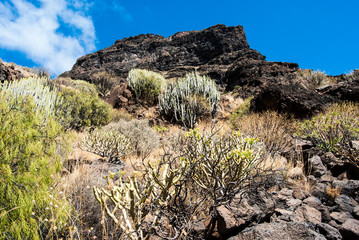 grand canaria hiking in mountains