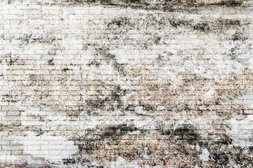 Old brick wall with white texture background.
