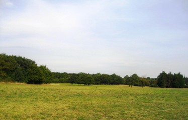 Une grande prairie sous un ciel laiteux