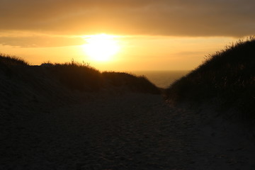 Landschaft Dänemark