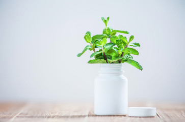 Leaves of a green plant in a white medical bottle close-up on a wooden table. Copy space.