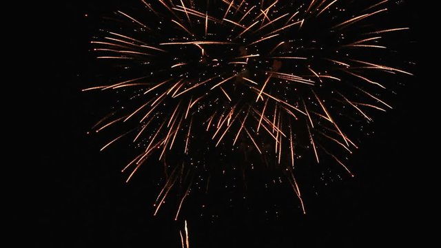 Close up of real fireworks celebration on black sky background.