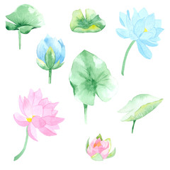 Watercolor leaves and water lily flowers. Perfect in the design of cards, invitations, textiles, websites, photo albums, scrapbooking and other creative projects.