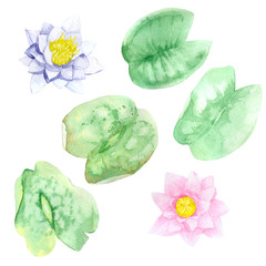 Watercolor leaves and flowers of water lilies. Great for invitations, greeting cards, scrapbooking, photo albums, labels, web sites and other creations.