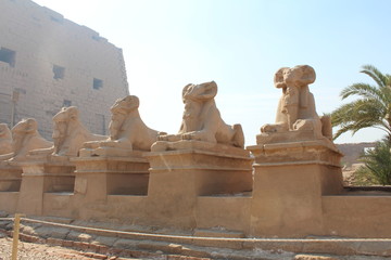 egypt,luxor
