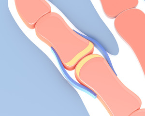 3d illustration of the synovial joint of the bone of a hand. Schematic and symbolic graphic representation.