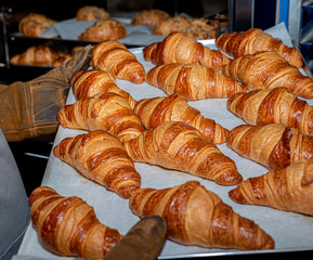 Taking out of the oven, freshly baked croissants in a bakery in Madrid, Spain