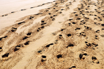 migrationshintergrund