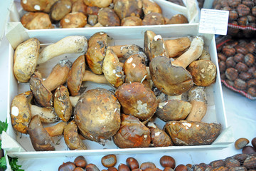 seasonal fruit and vegetables - shopping at the market - porcini mushrooms