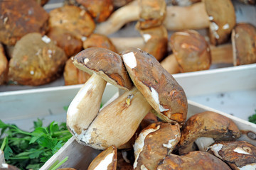 seasonal fruit and vegetables - shopping at the market - porcini mushrooms