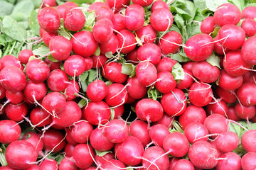 seasonal fruit and vegetables - shopping at the market - red radishes