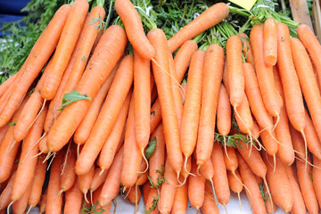 Frutta e verdura di stagione - carote 