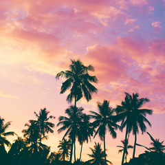 Fototapeta na wymiar Dark silhouettes of coconut palm trees against colorful sunset sky on tropical island. Vacation and exotic travel concept background.
