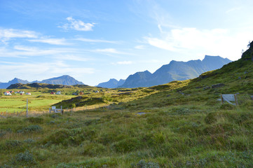 Fototapeta na wymiar Countryside with traditional houses on the coast of Lofoten Islands in Norway