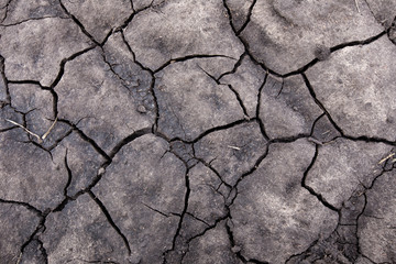 Global warming drought. Creative cracks in the ground