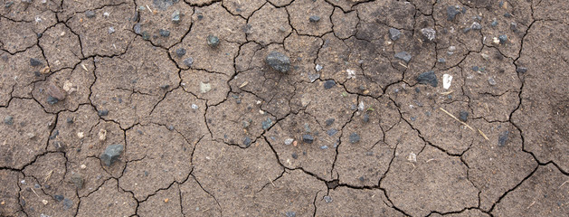Global warming drought. Creative cracks in the ground