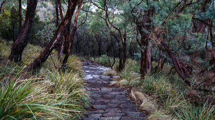 Knocklofty Reserve nearby Hobart in walking distance for a hike in Tasmania, Australia