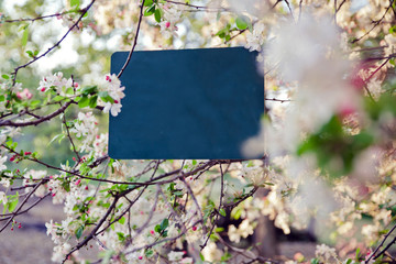 Cherry Blossom Message Chalk Board