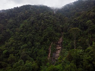 Aerial view of forest and hills