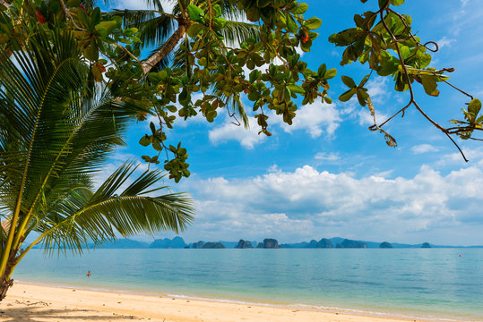 Palmenstrand auf Koh Yao Noi, Thailand, 