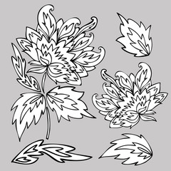 Isolated vector black and white design set of silhouettes of peony flowers. The design is perfectly suitable for clothes design, children decoration, stickers, stationary, tattoos. 