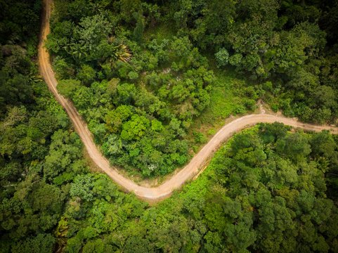 Scenic Aerial View Of A Winding Path In A Forest