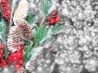 winter background with fir branches cones and snow