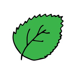 Apple leaves icon, vector fruit illustration isolated on white background, flat fresh healthy apples.	