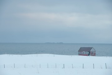 Remote house in coastal landscape Flakstad Flakstadoya  Loftofen Norway