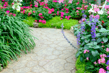 Fototapeta na wymiar walkway in flower garden park