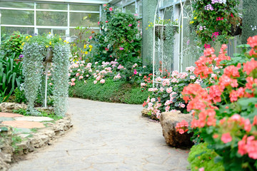 walkway in flower garden park