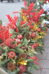 Fiori,Piante,Addobbi di Natale