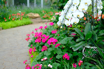 walkway in flower garden park