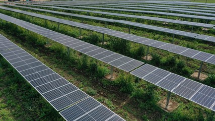 Solar Panel Farm (Drone)