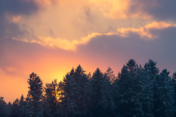 Sonnenuntergang mit Wolken hinter verschneitem Wald