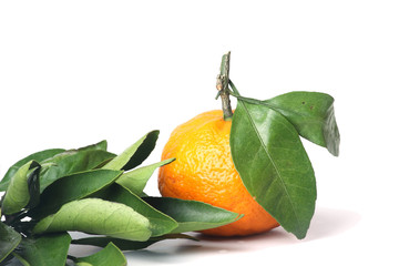 tangerine and green leaves isolated on white background