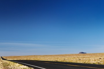Obraz na płótnie Canvas Empty road in desert USA