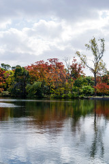 秋の服部緑地・山ヶ池の風景